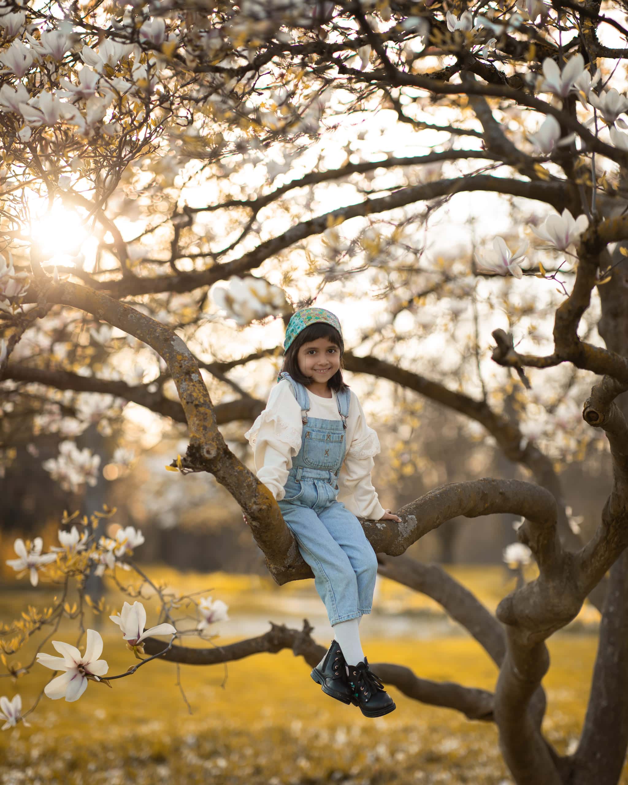 Sous les Magnolias — 6/7