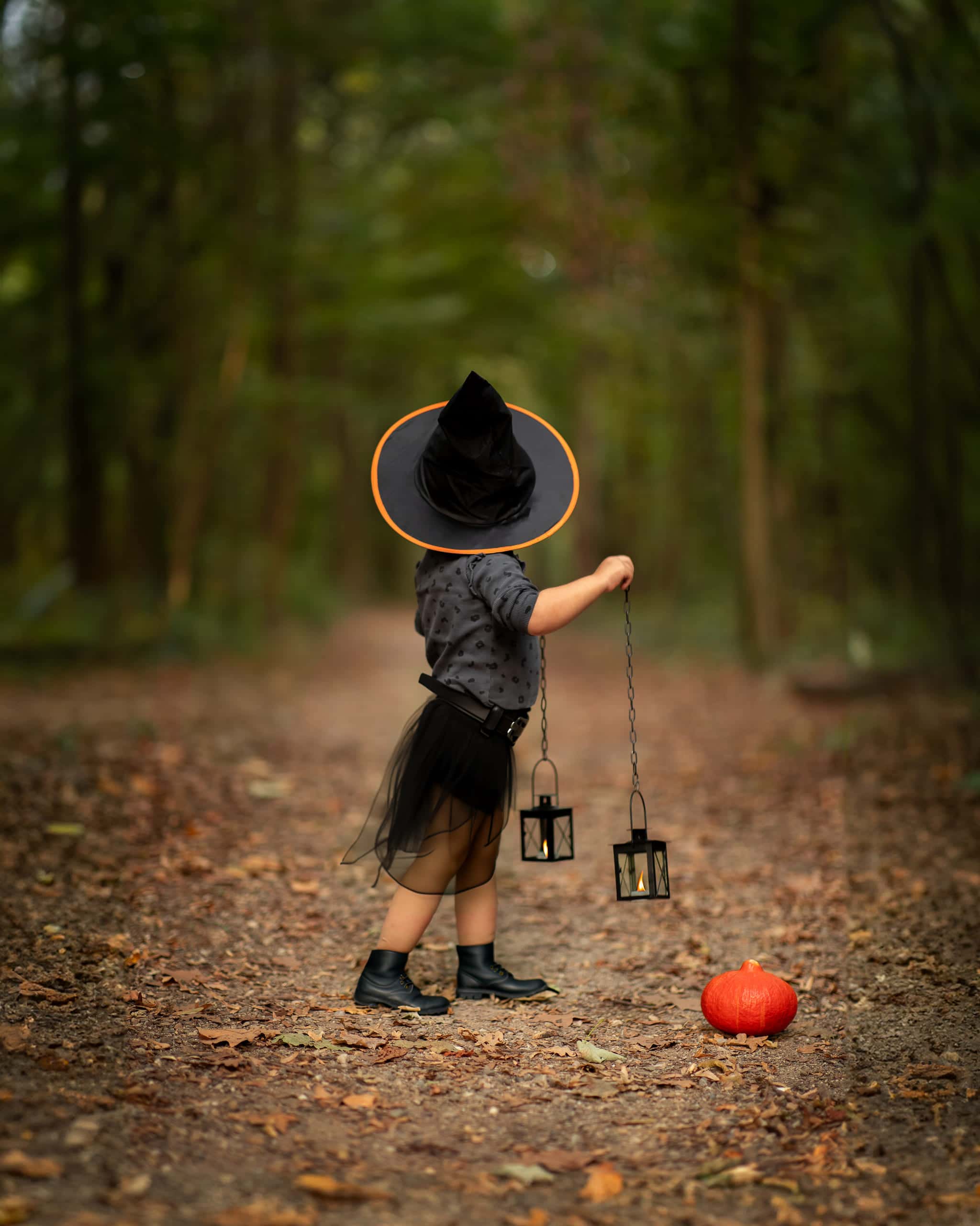 Rêves en Forêt — 4/5