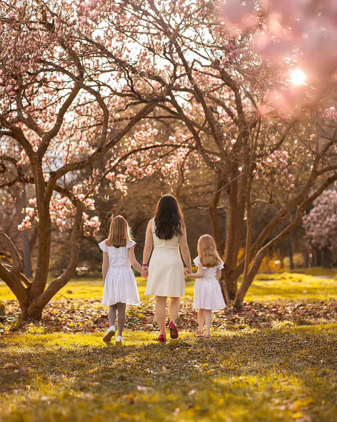 Sous les Magnolias — 7/7