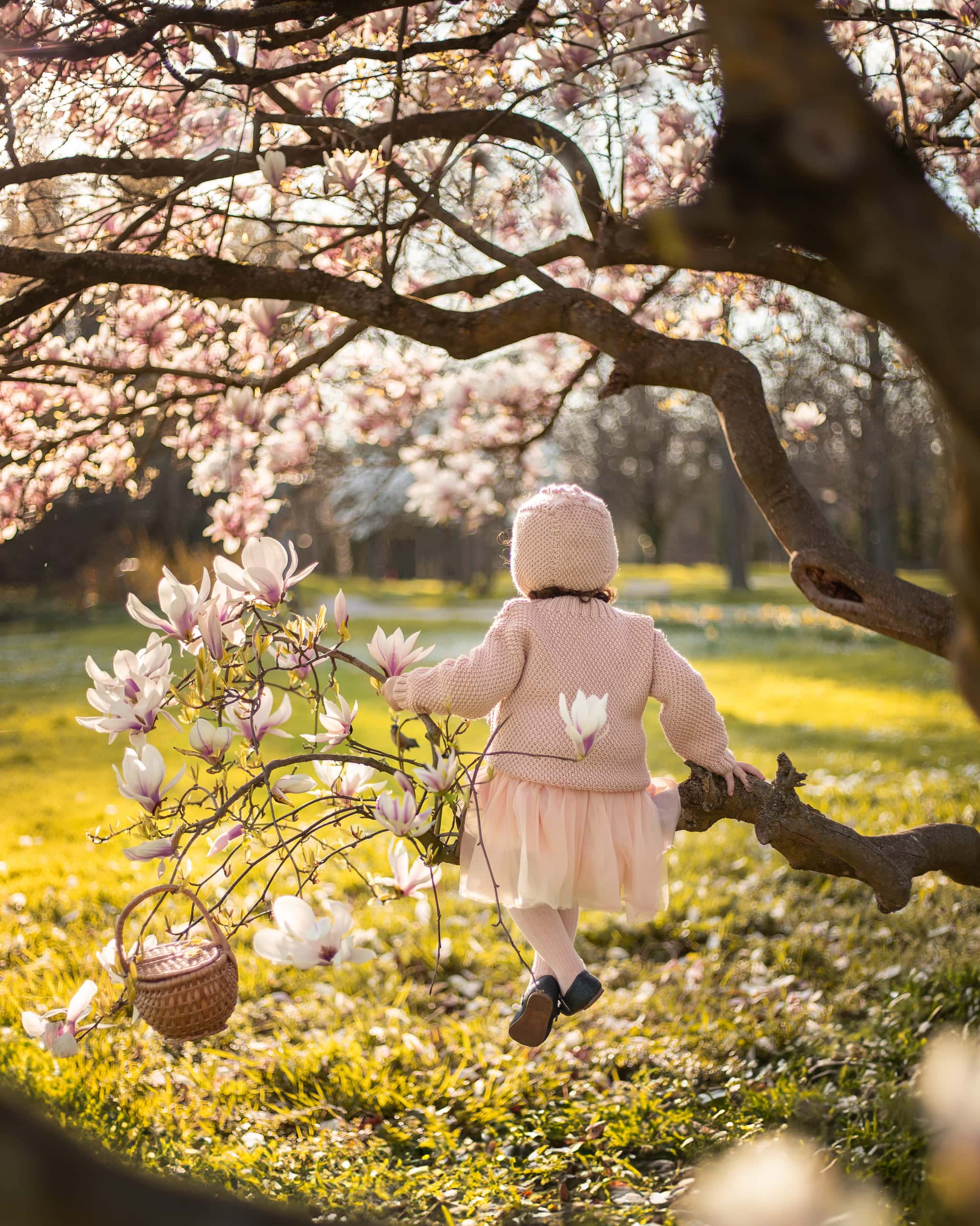 Sous les Magnolias — 2/7