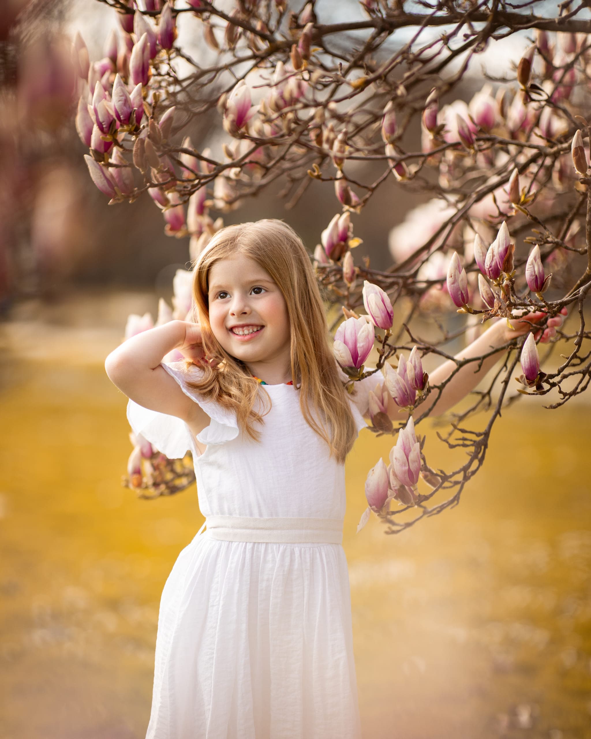 Sous les Magnolias